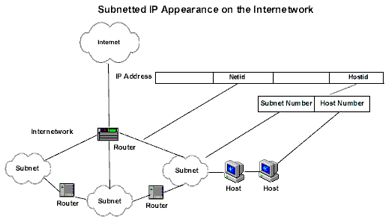 Subnetted Network