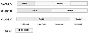 Network ID and Host ID